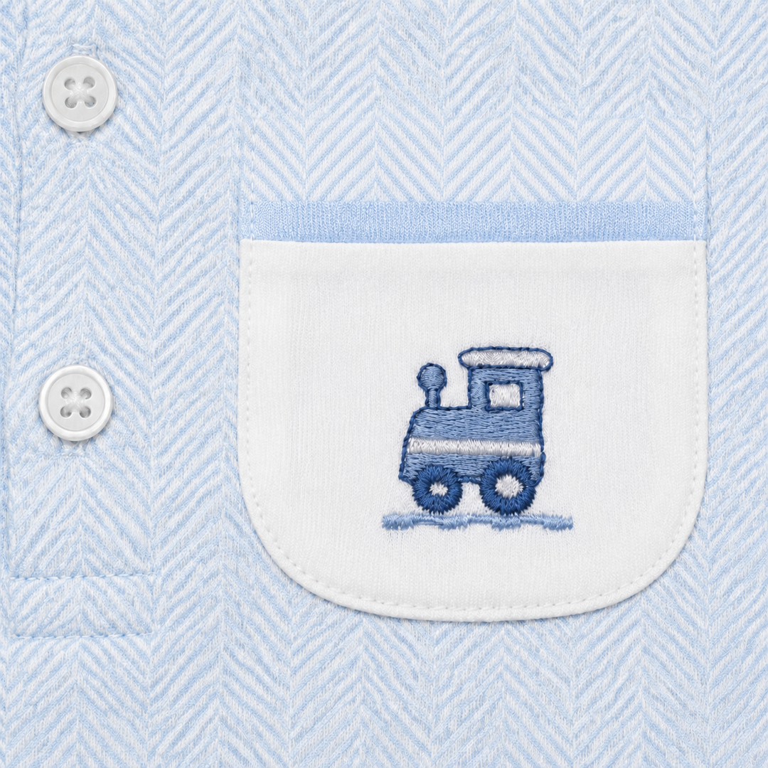 Nellapima Blue Herringbone Embroidered Playsuit Train