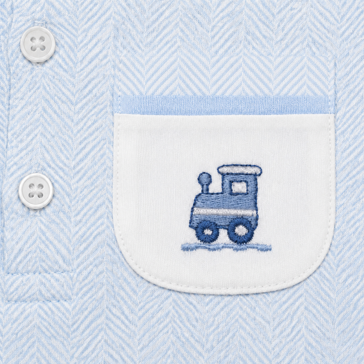 Nellapima Blue Herringbone Embroidered Playsuit Train