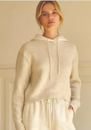 Skies are Blue- Knitted Hoodie Sweater