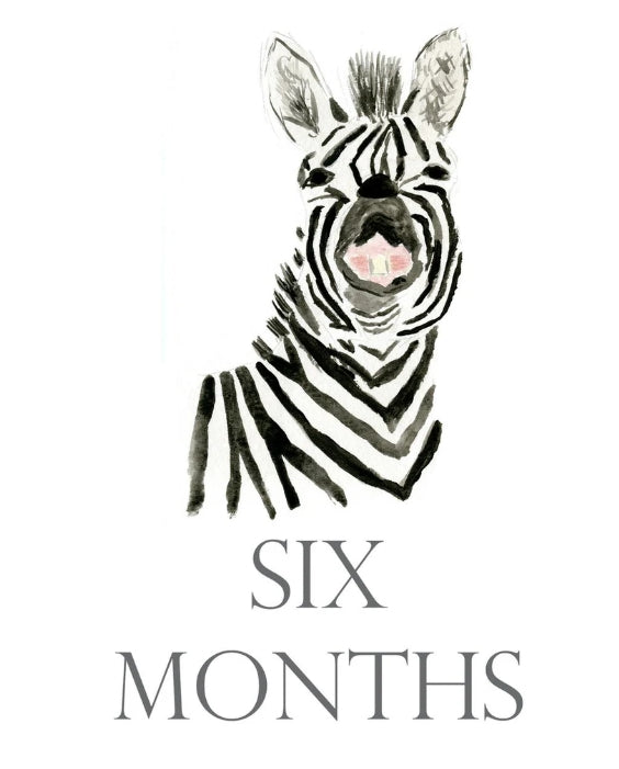 Over the Moon Month by Month Baby Cards
