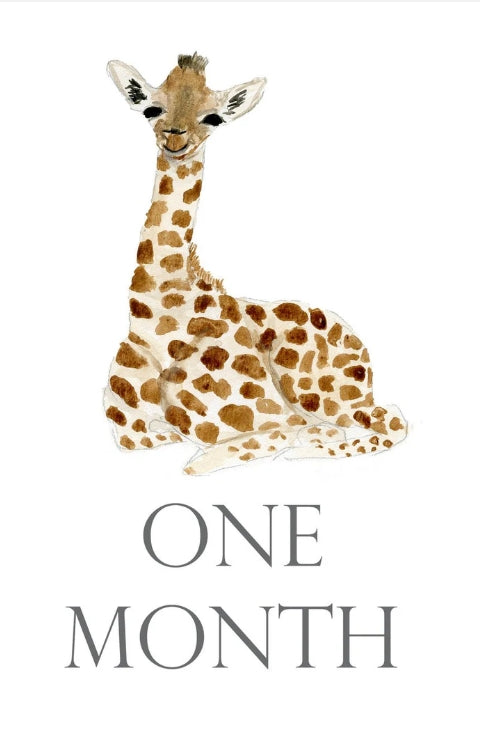 Over the Moon Month by Month Baby Cards
