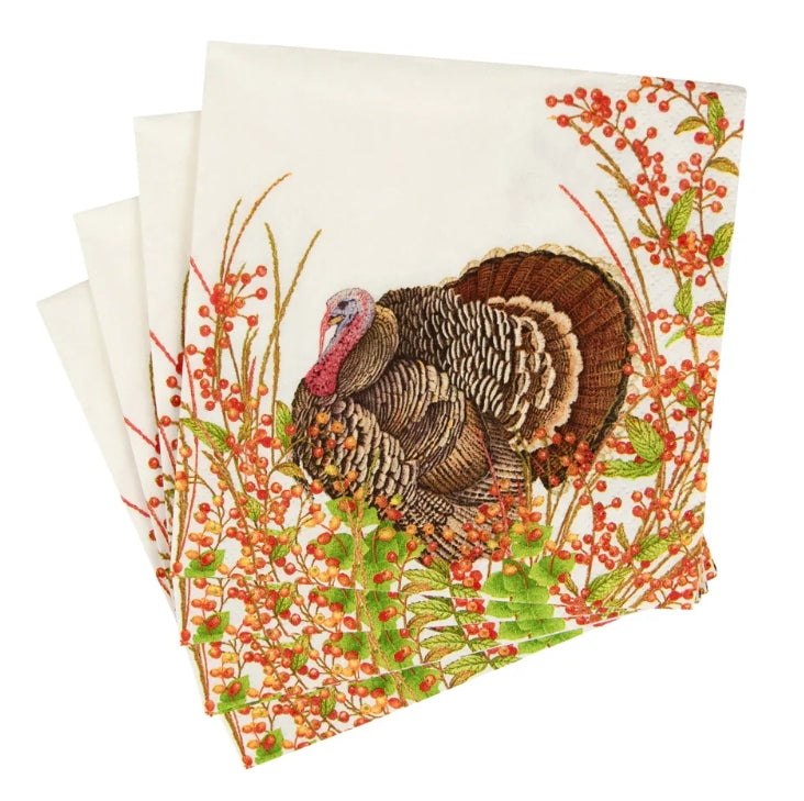 Caspari- Cocktail Napkins