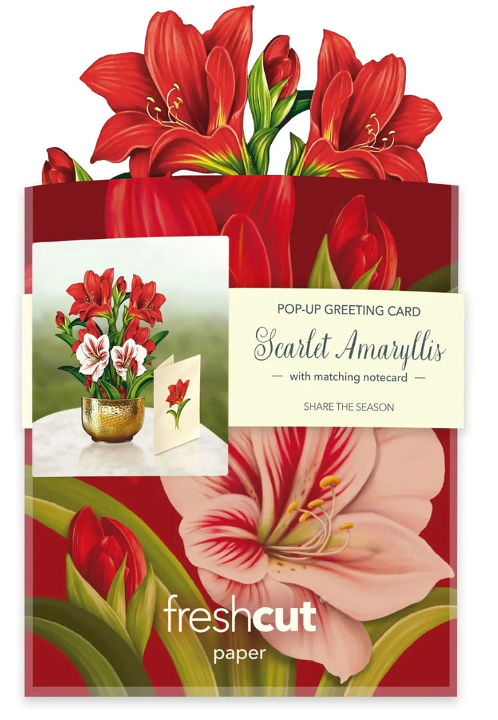 Freshcut Paper Pop Up Cards Mini Scarlet Amaryllis