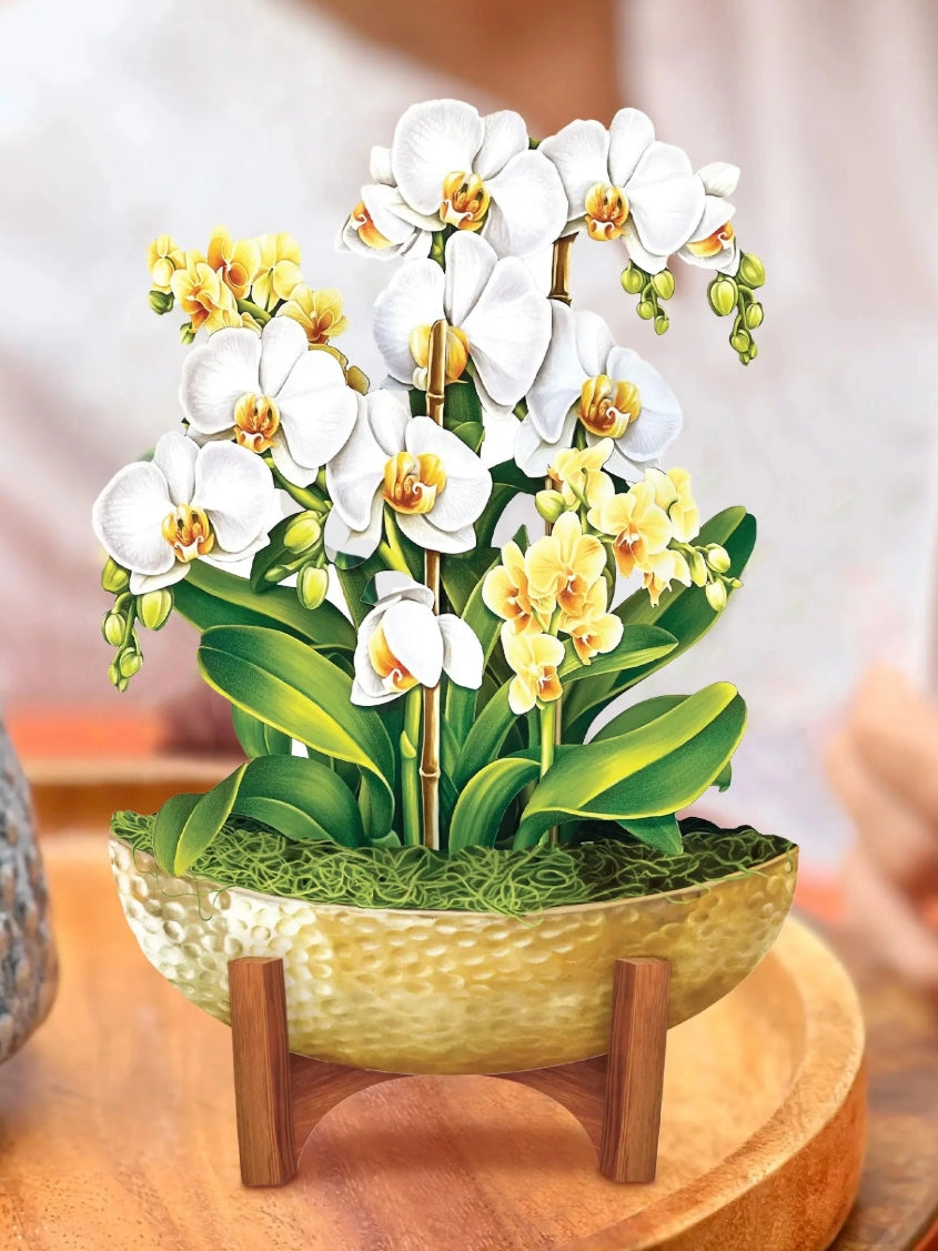 Freshcut Paper Pop Up Cards, Mini Serenity Orchid