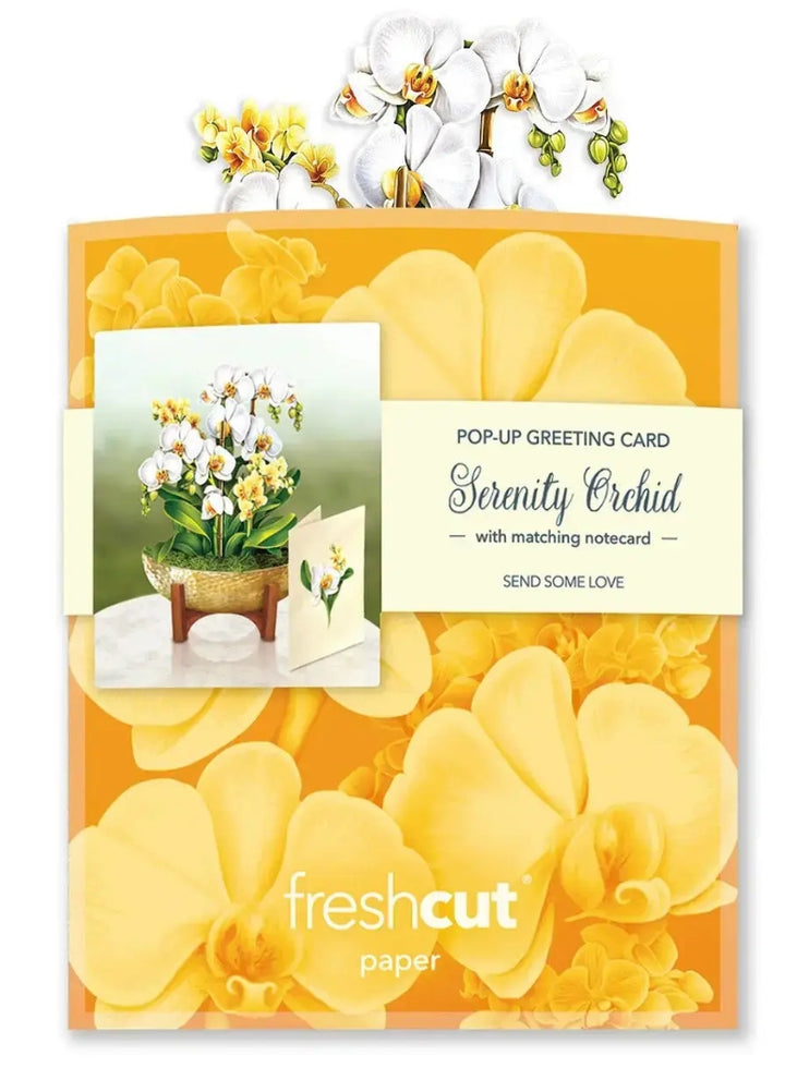 Freshcut Paper Pop Up Cards, Mini Serenity Orchid