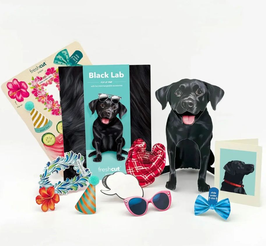 Freshcut Paper Pop Up Pet Cards, Sheet, Black Lab