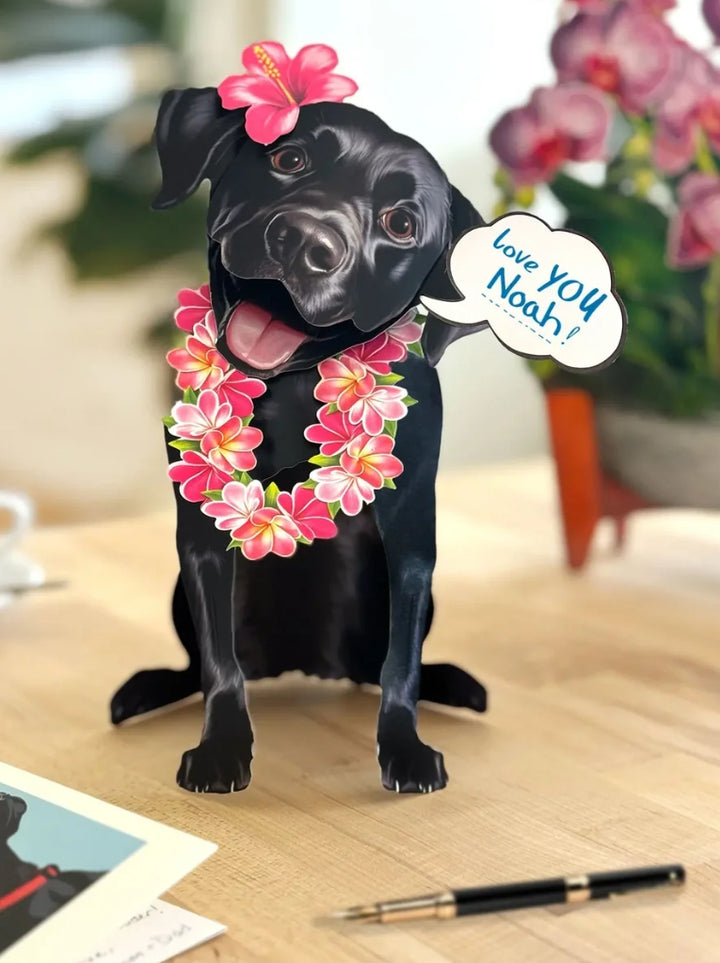 Freshcut Paper Pop Up Pet Cards, Sheet, Black Lab