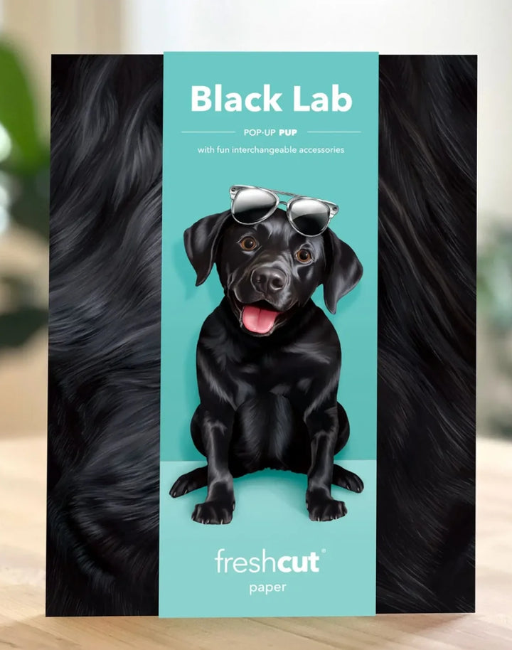 Freshcut Paper Pop Up Pet Cards, Sheet, Black Lab
