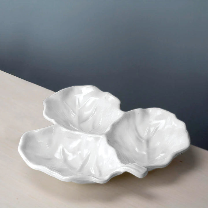 Beatriz Ball- Vida Lettuce